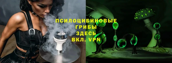 дурь Алексин