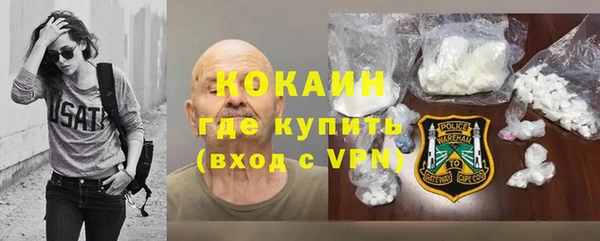 дурь Алексин